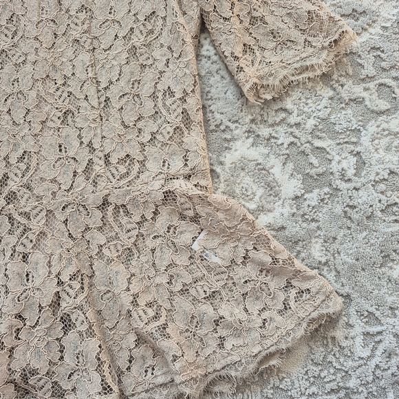 Babaton Aritzia Women's Feminine Romantic Brown Lace Peplum Blouse Size 2/S - Picture 3 of 6